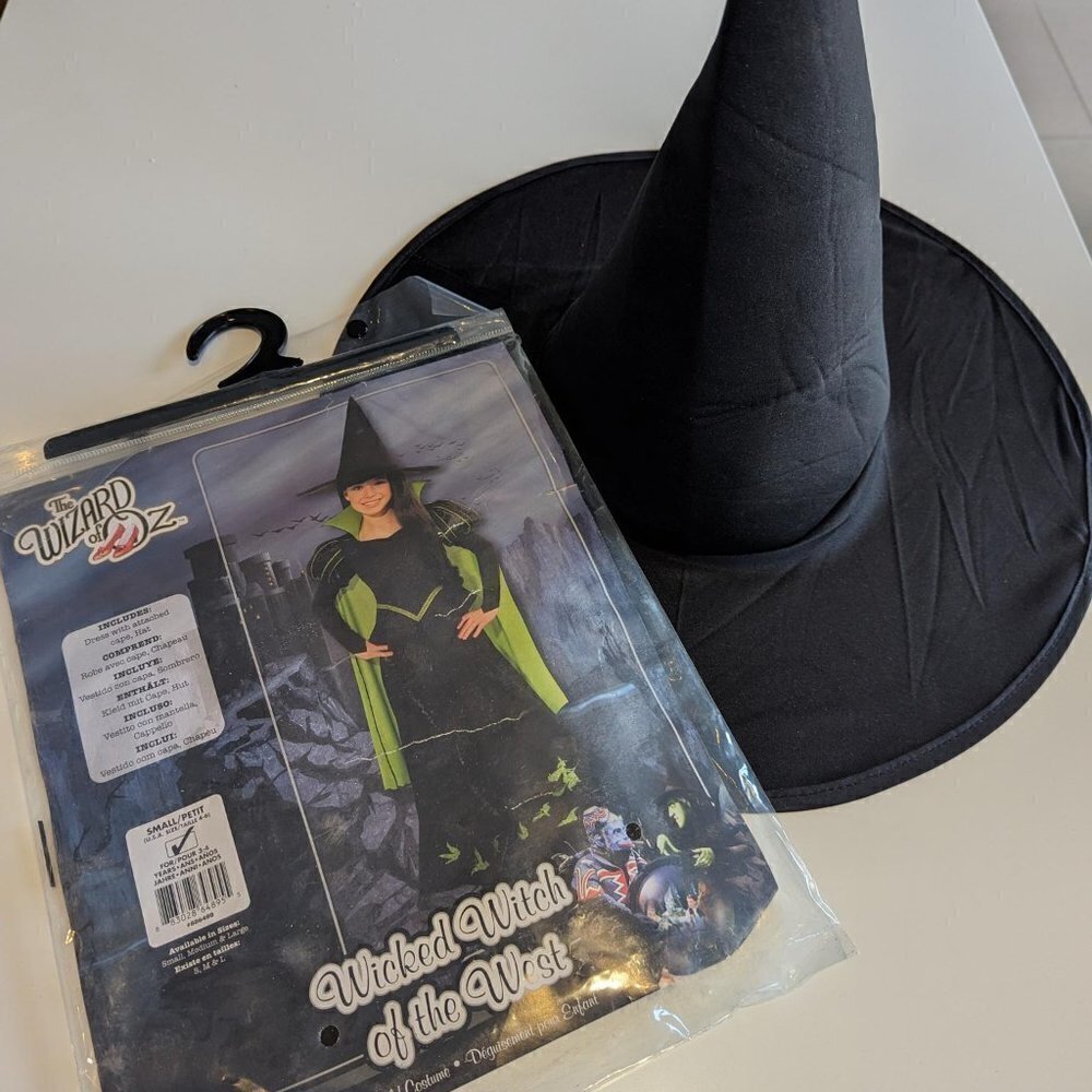 Wicked Witch of the West Halloween  Costume